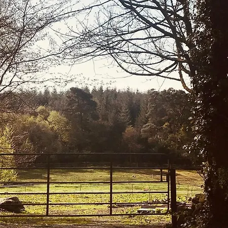 Relax In The Unique And Cosy Off-grid Eco Shepherd's Hut Between Heaven And Earth *