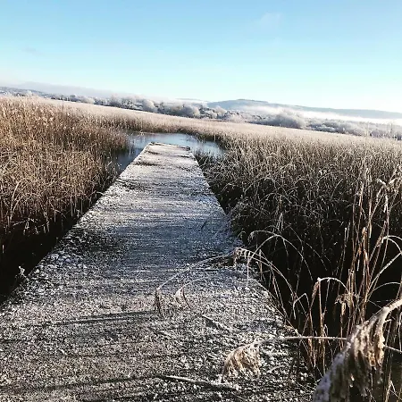 Relax In The Unique And Cosy Off-grid Eco Shepherd's Hut Between Heaven And Earth Mountshannon